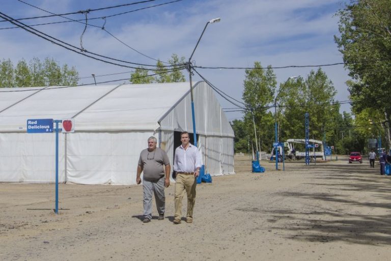 Soria en el  Predio Manzana 1